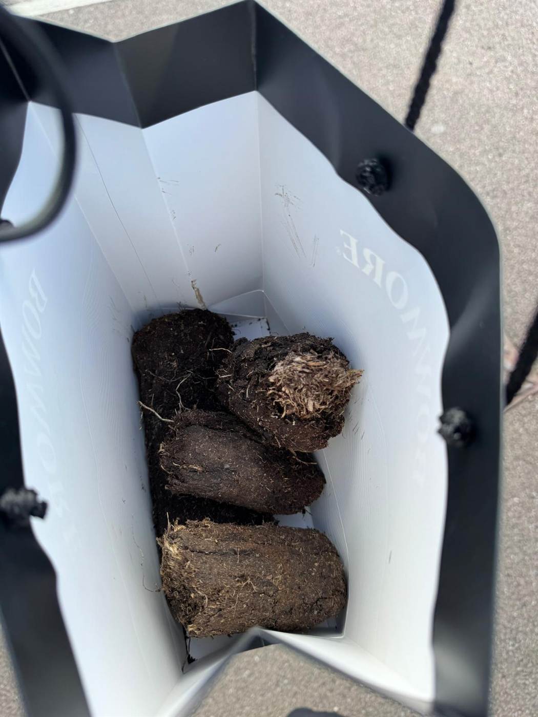 A lump of peat from Bowmore